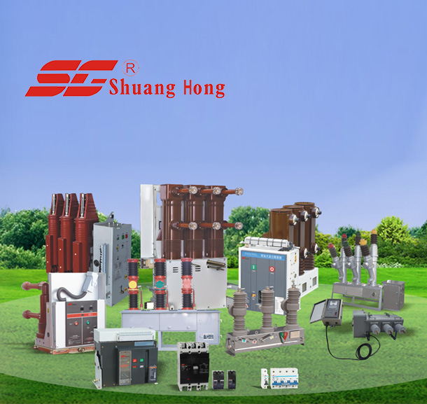 Shuanghong Technology 